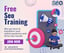 Seo Training Courses